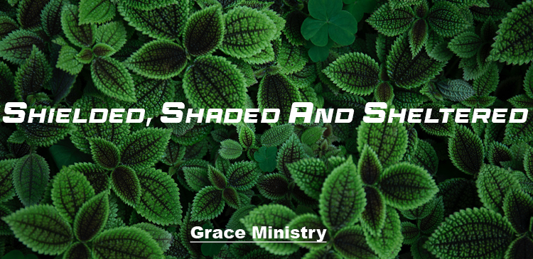 Begin your day right with Bro Andrews life-changing online daily devotional "Shielded, Shaded and Sheltered" read and Explore God's potential in you